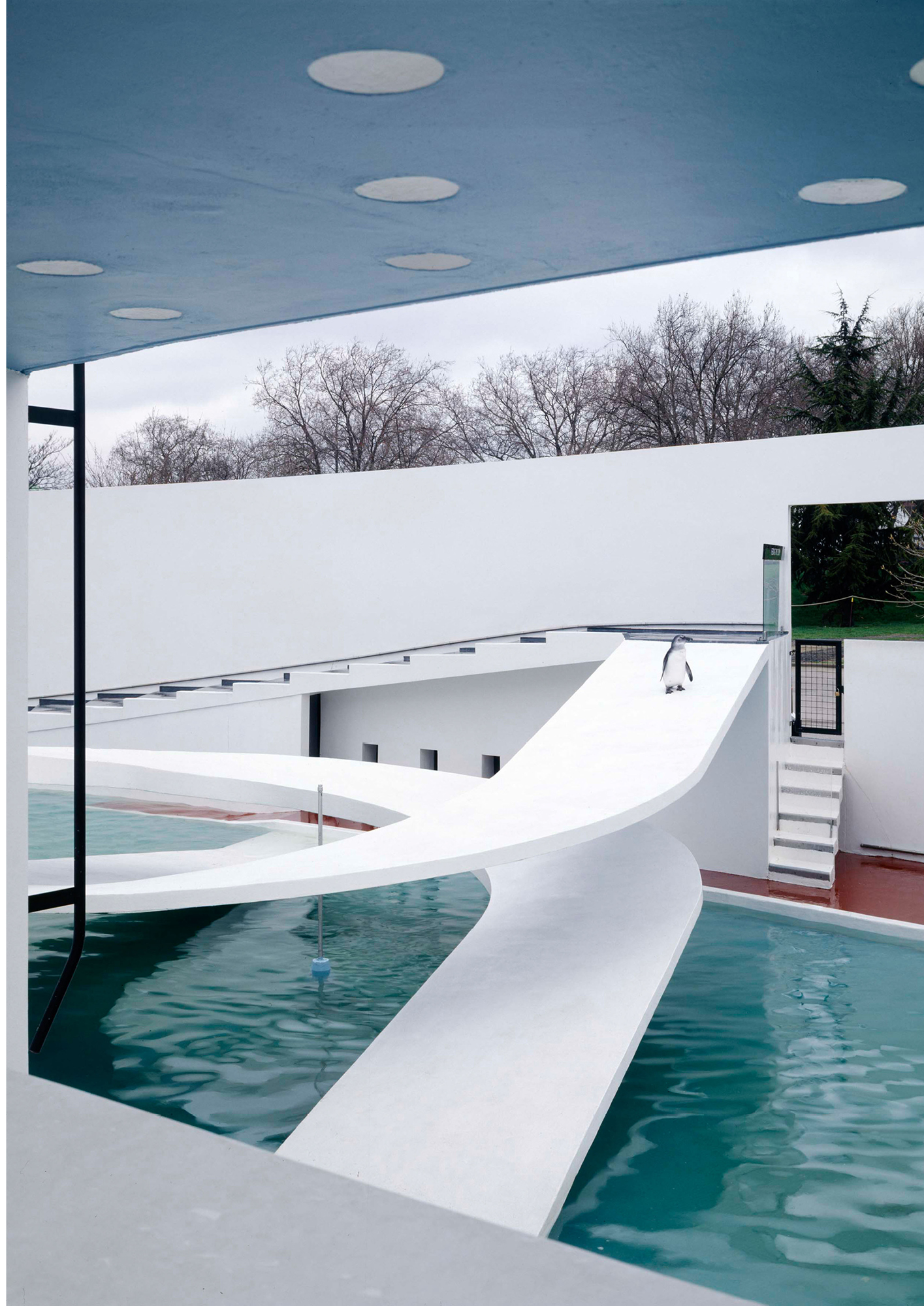 Tecton's Bauhaus-inspired penguin pool at the London Zoo, Alamy