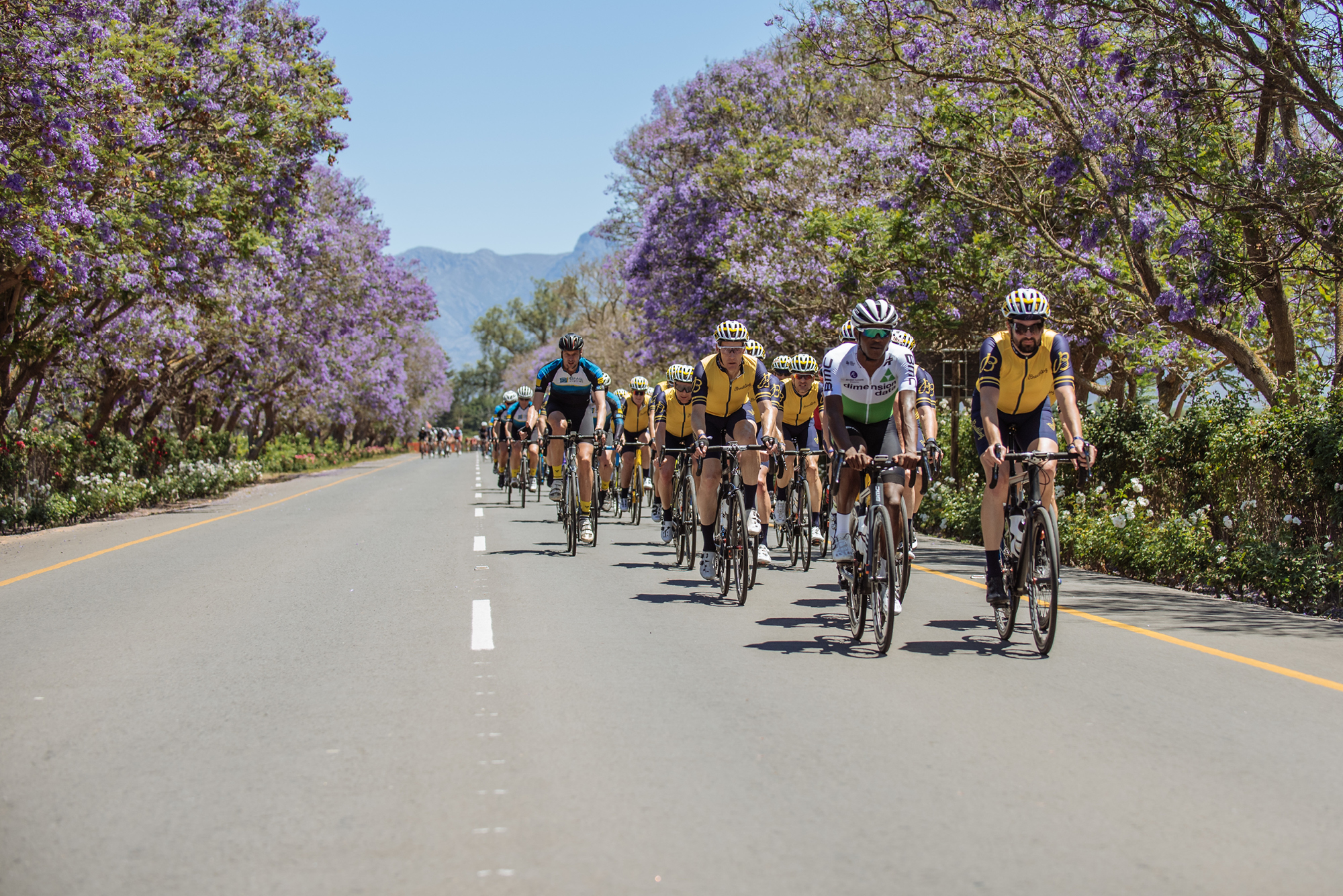 Coronation Double Century bike race in South Africa