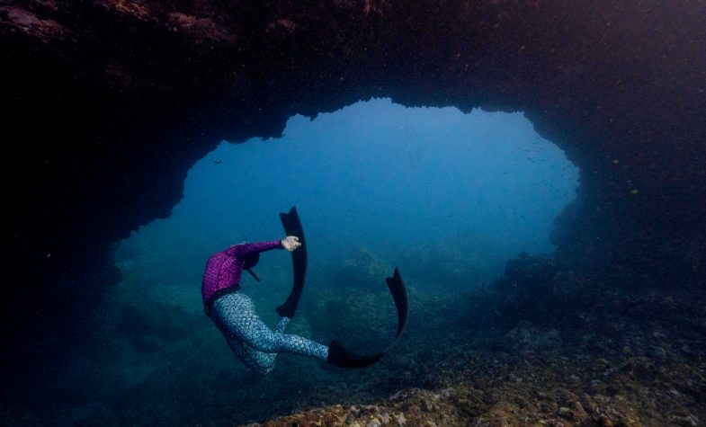 Guests receive free-dive training between marine encounters