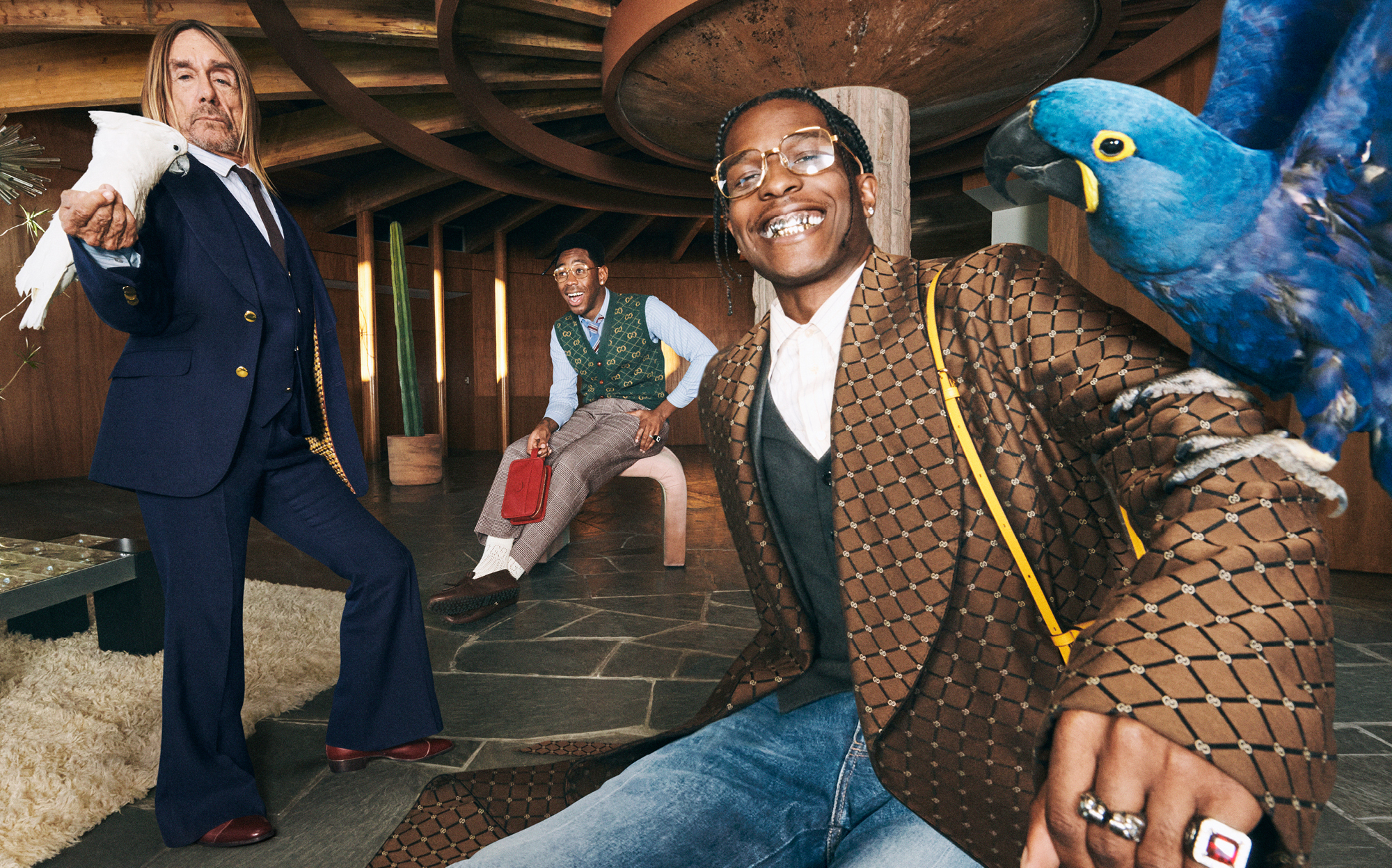 Biggy Pop, Iggy's parrot also stars in the Gucci campaign