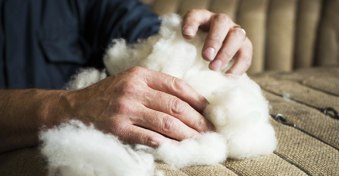 Cashmere wool is biodegradable