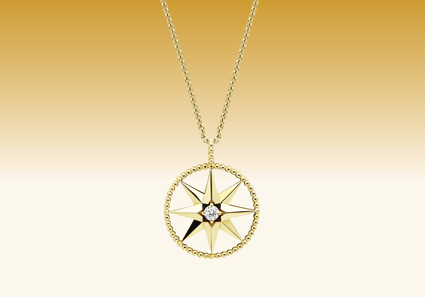 Dior Des Vents Medallion necklace, £6,000