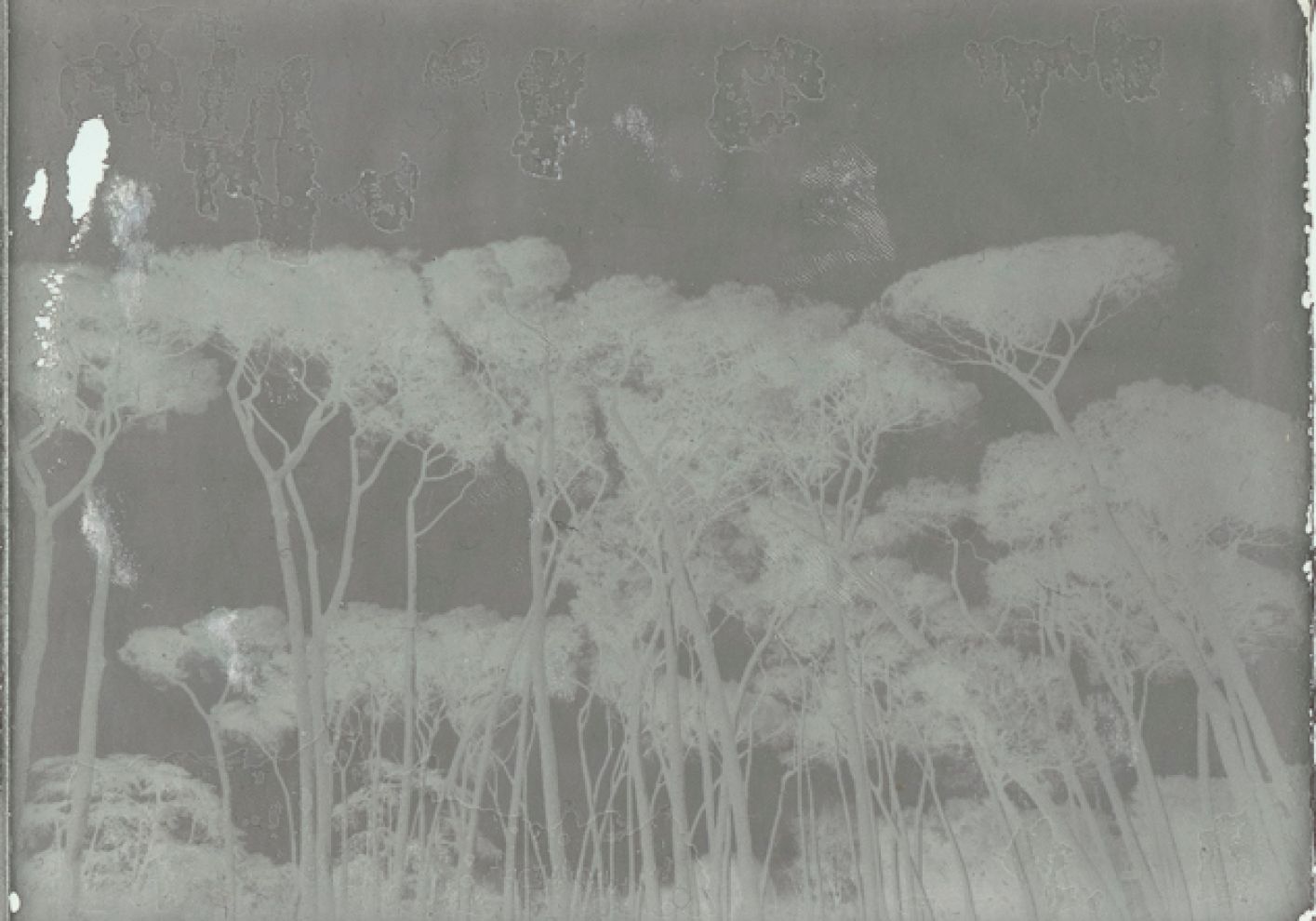 Julien Drach, Villa Pamphili IV