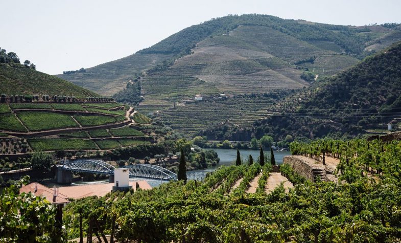 In addition to being supplied with 12 special bottles of wine a year, Symington's Matriarca Club members in Portugal have visited wineries not usually open to the public